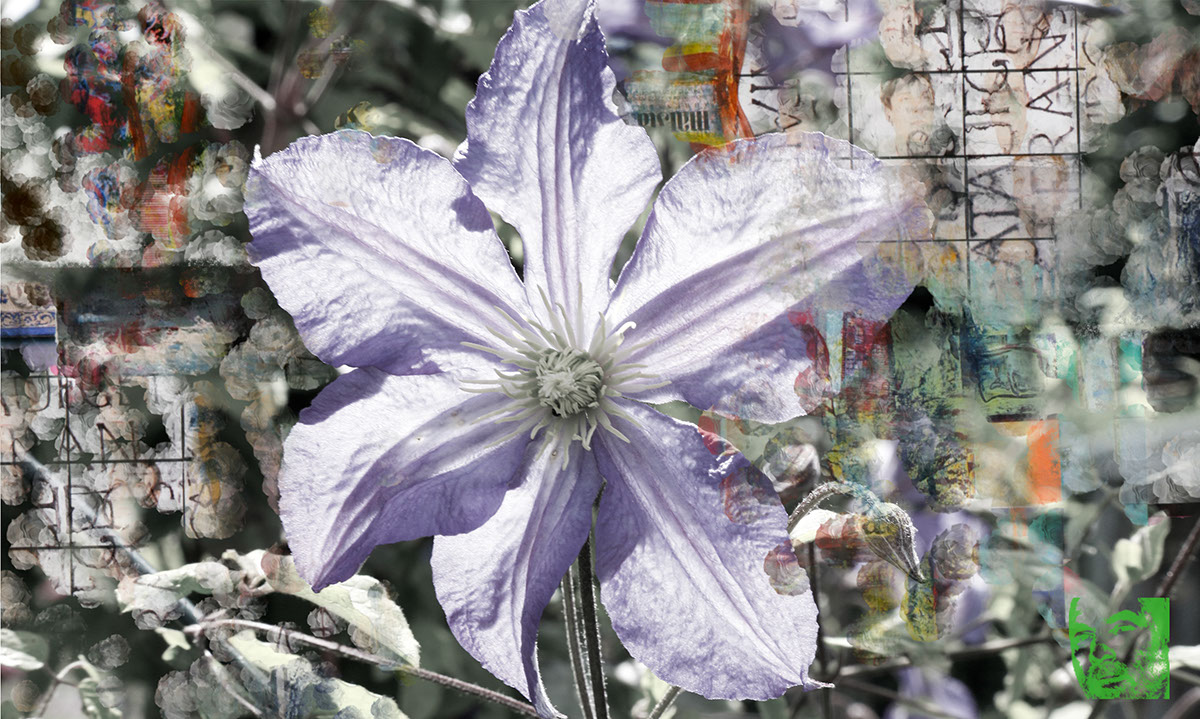 %_tempFileName02_.Clematis%20im%20Ungewissen%